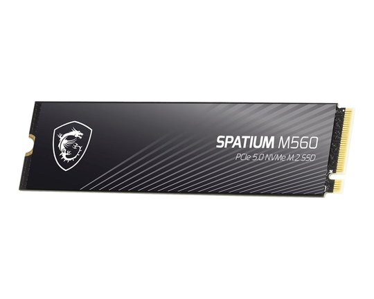2Tb Msı Spatıum M560 Pcıe 5.0 Nvme M2 10300/8700Mb/S
