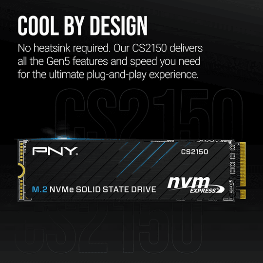 Pny Cs2150 2Tb  10200/8500 Nvme Pcıe Gen5X4 M.2 Ssd (M280Cs2150-2Tb-Tb)