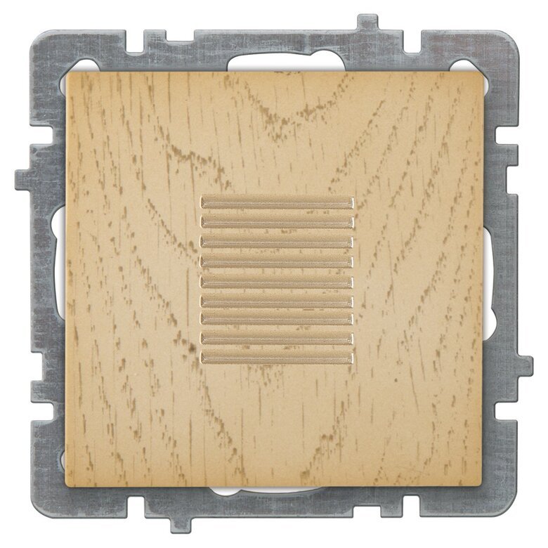 Buzzer