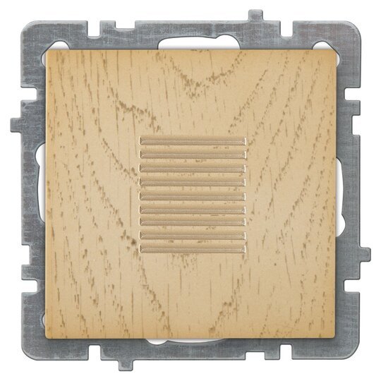 Buzzer