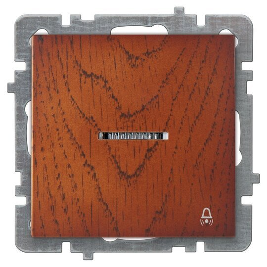 ışıklı Zil Butonu