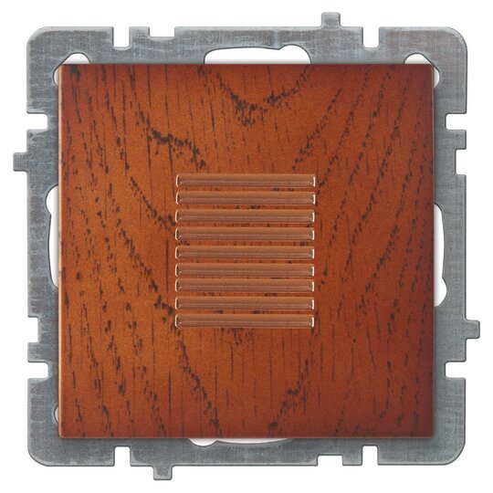Buzzer