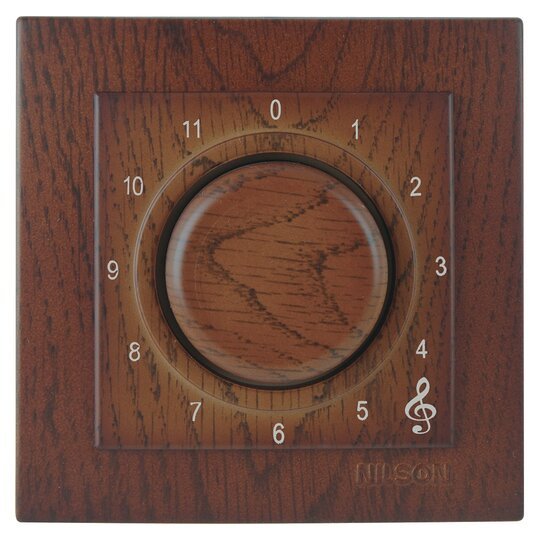 Müzik Yayın Anahtarı