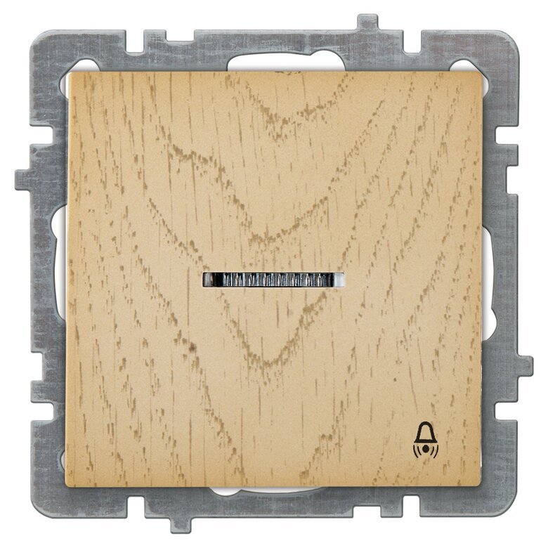 ışıklı Zil Butonu