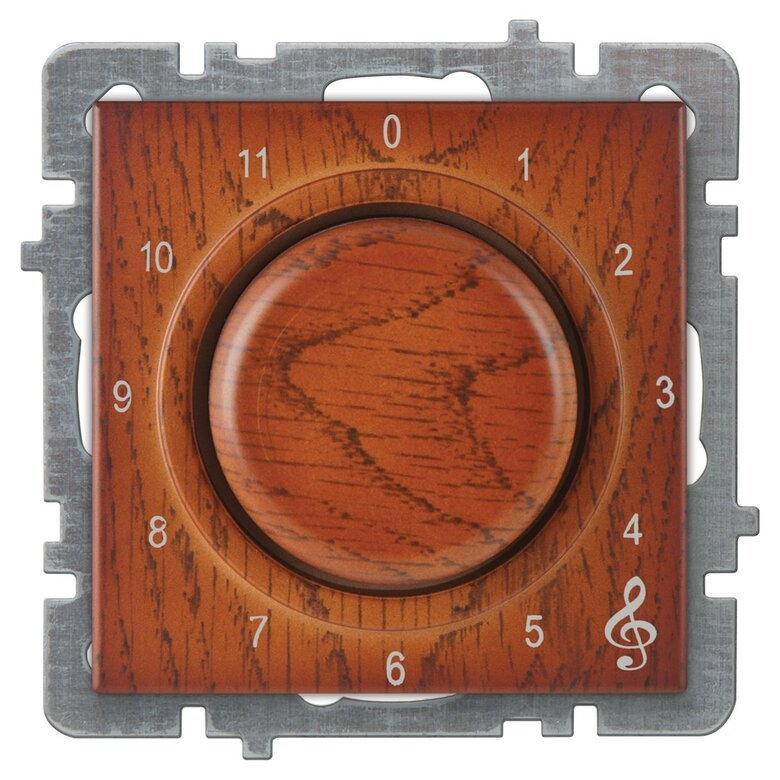 Müzik Yayın Anahtarı