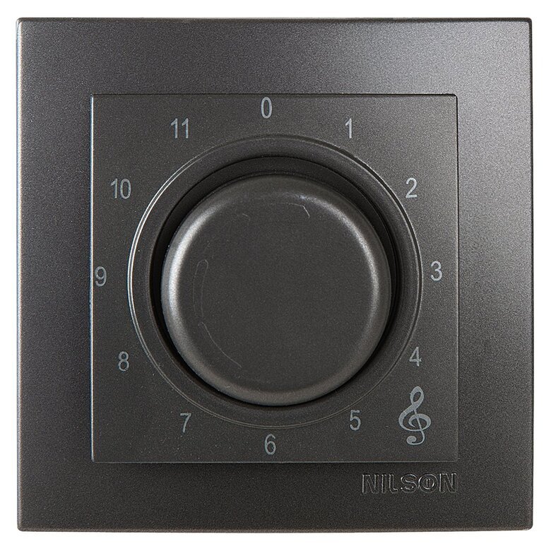 Müzik Yayın Anahtarı