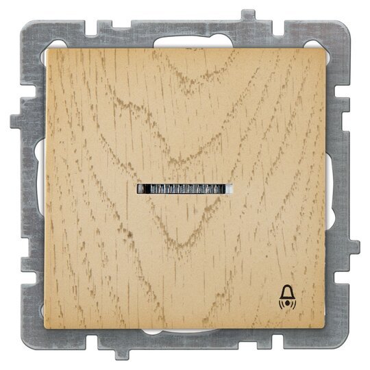 ışıklı Zil Butonu