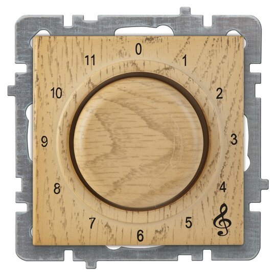 Müzik Yayın Anahtarı