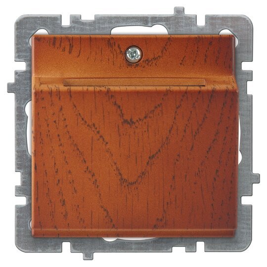 Energy Saver Electronik Gecikmeli+ışıklı