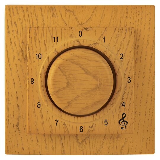 Müzik Yayın Anahtarı