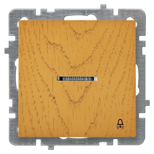 ışıklı Zil Butonu