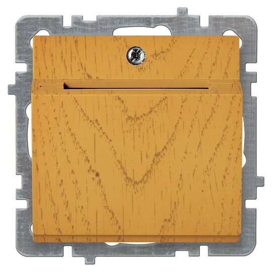 Energy Saver Electronik Gecikmeli+ışıklı