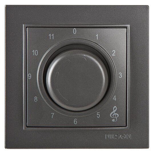 Müzik Yayın Anahtarı