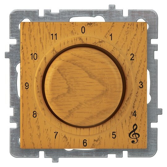 Müzik Yayın Anahtarı