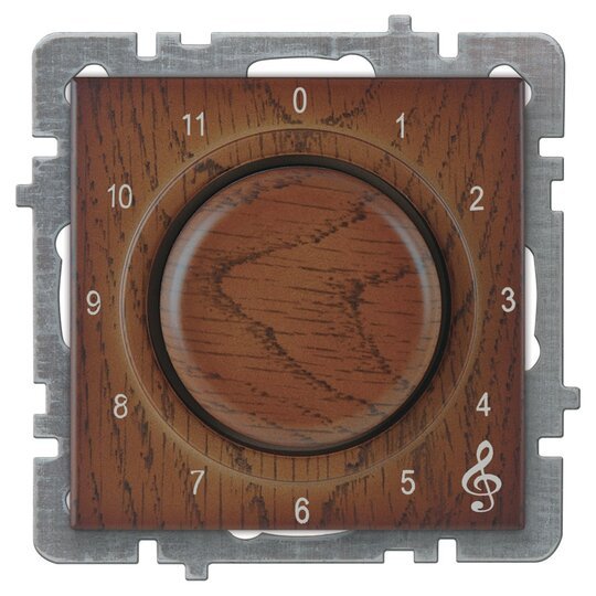 Müzik Yayın Anahtarı