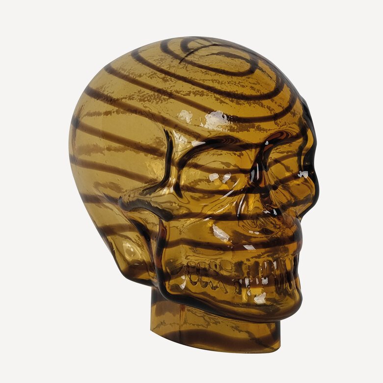 Amber Skull Dekoratif Obje