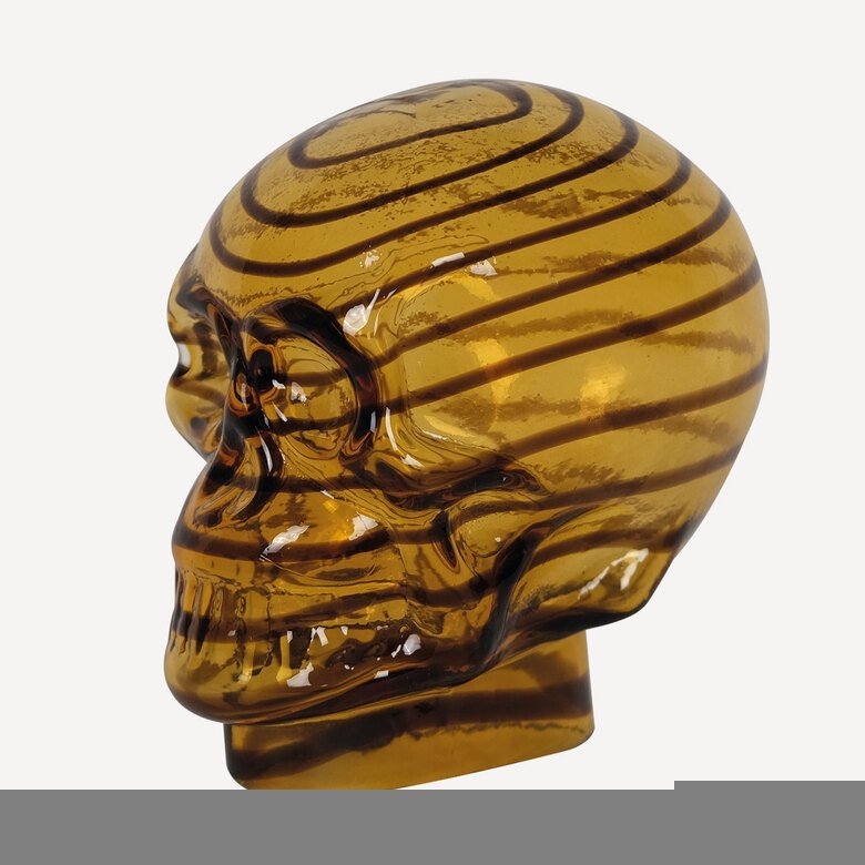 Amber Skull Dekoratif Obje