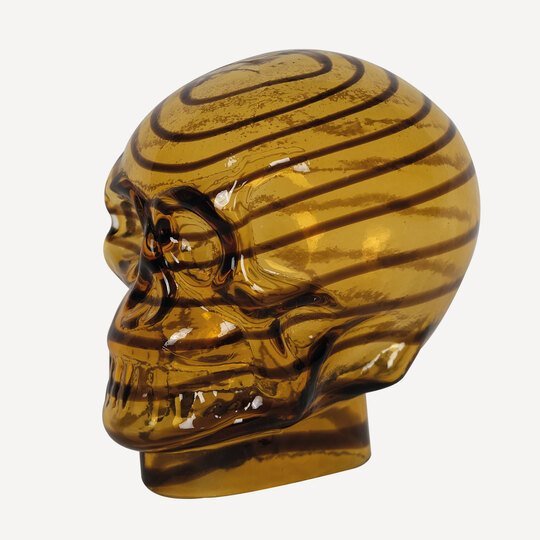 Amber Skull Dekoratif Obje