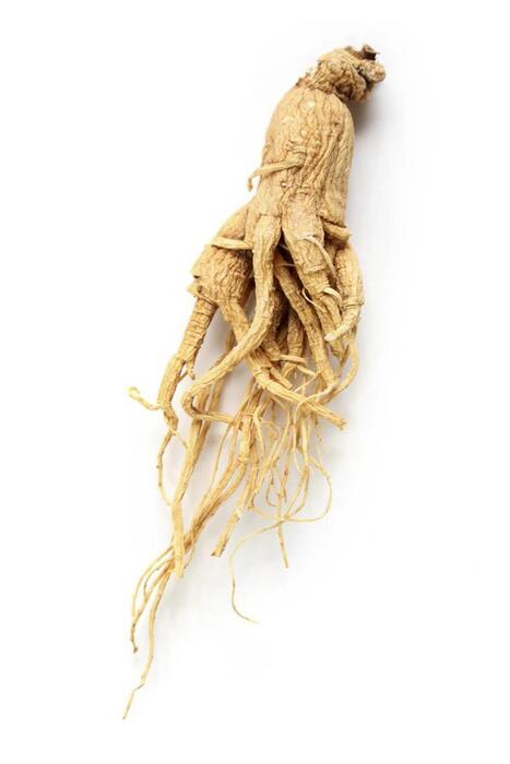 Organik Bitkim Kırmızı Ginseng (Adam Otu) Toz 500 gr