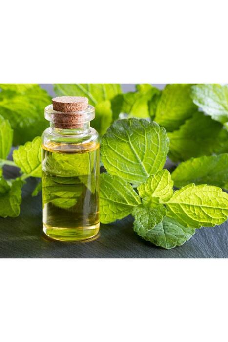 Balen Melisa Yağı (Distilasyon) 20 ml x 4 Adet
