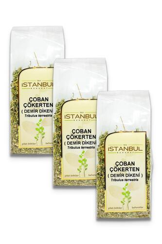 İstanbul Baharat Çoban Çökerten (Demir Dikeni) 3x70 gr