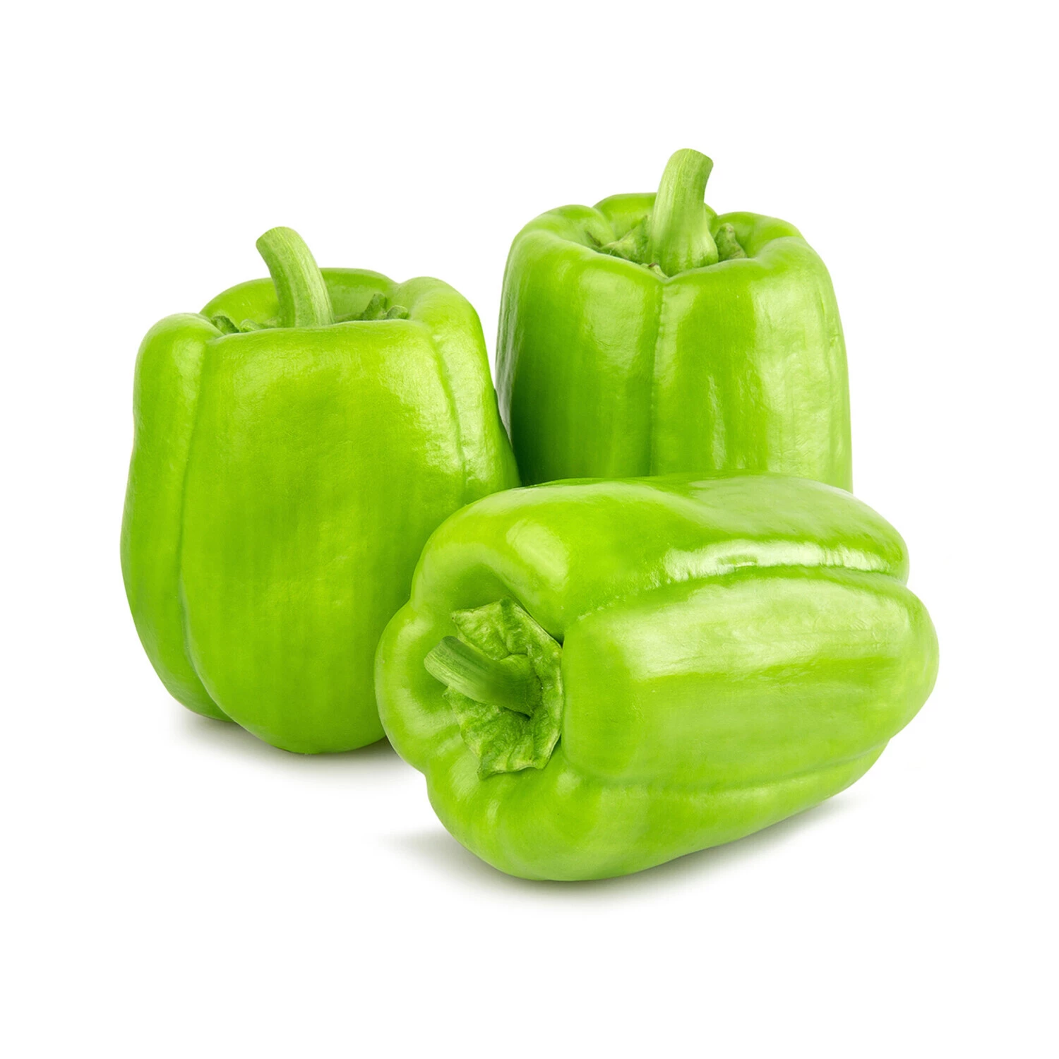 Biber Dolma Kg