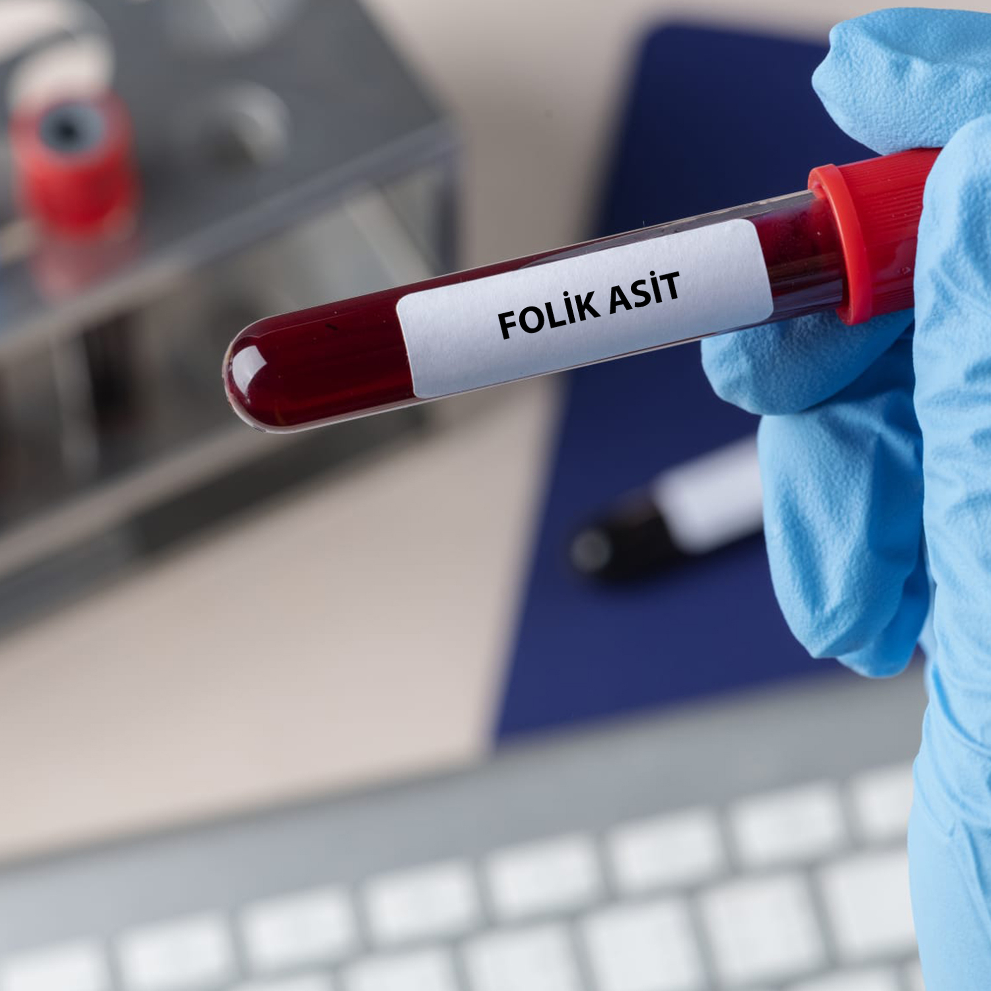 Folik Asit
