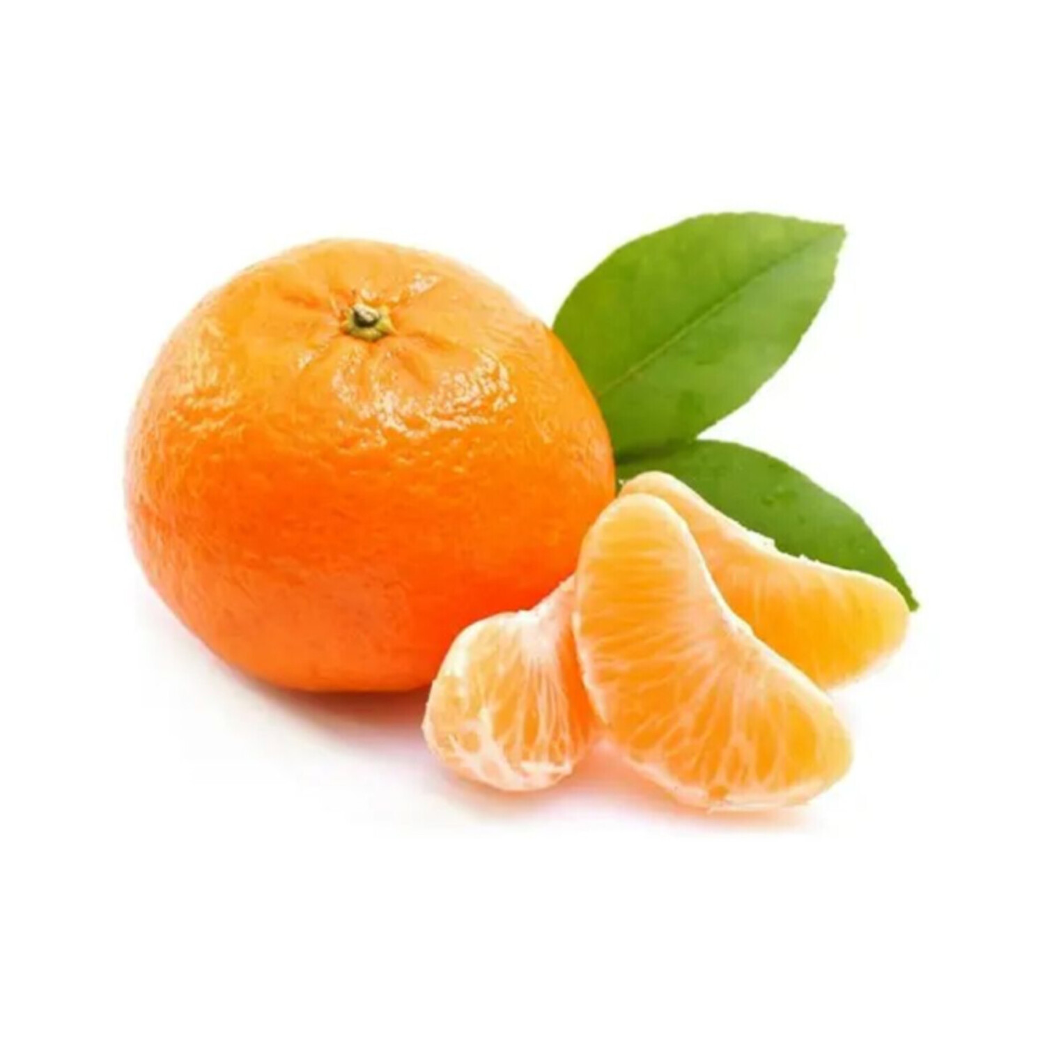 Mandalina İzmir Lüx Kg