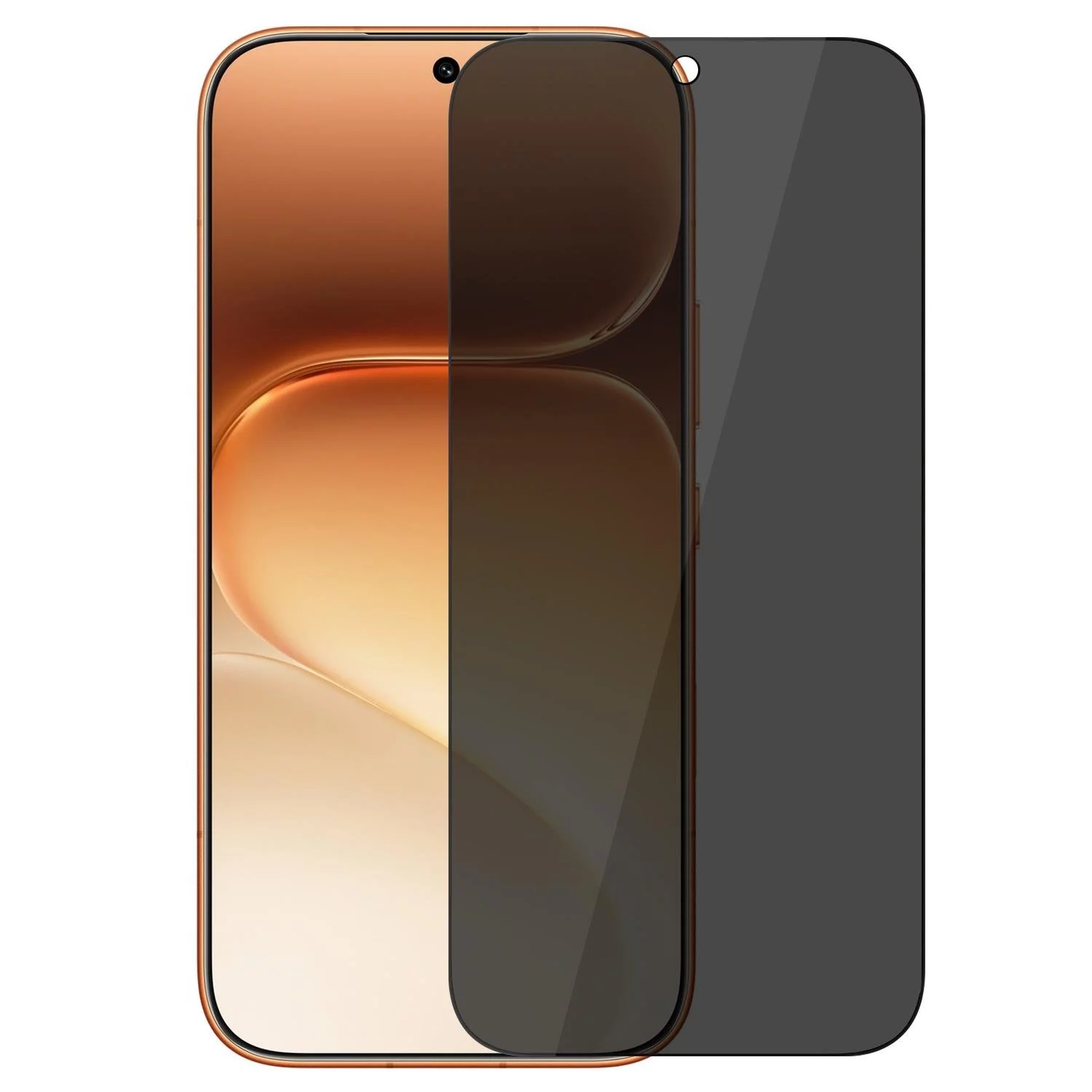 Microsonic Honor 600 5G Privacy 5D Gizlilik Filtreli Cam Ekran Koruyucu Siyah