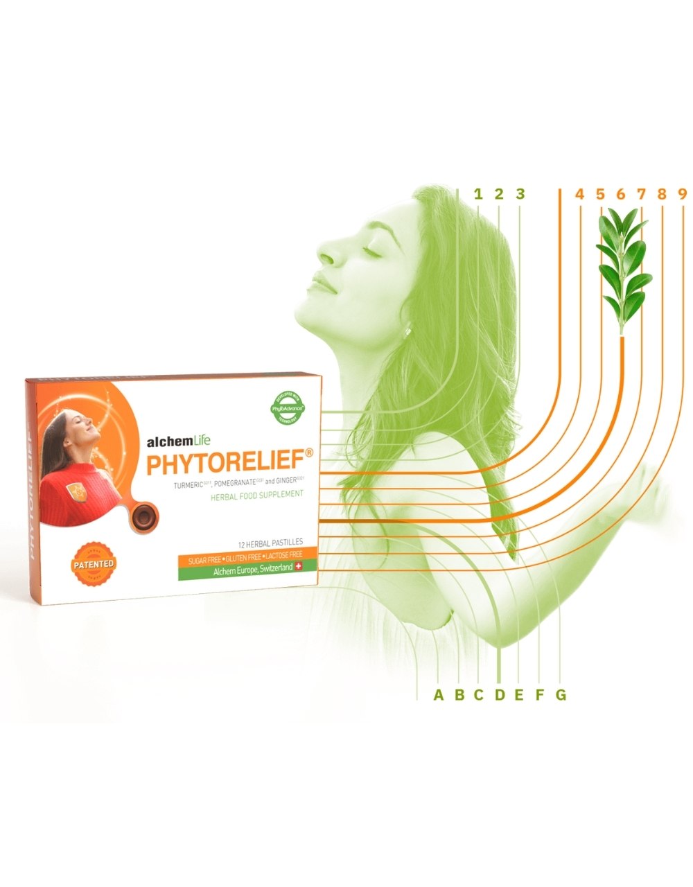Phytorelief 12 Pastil