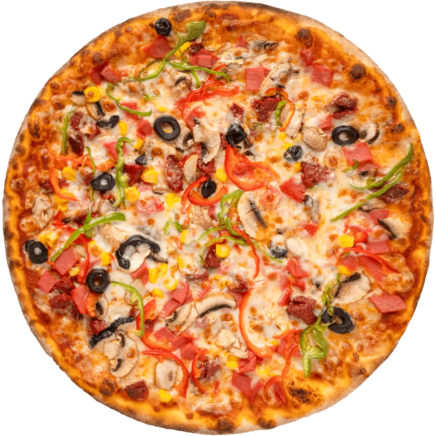Pizza (Büyük Boy)
