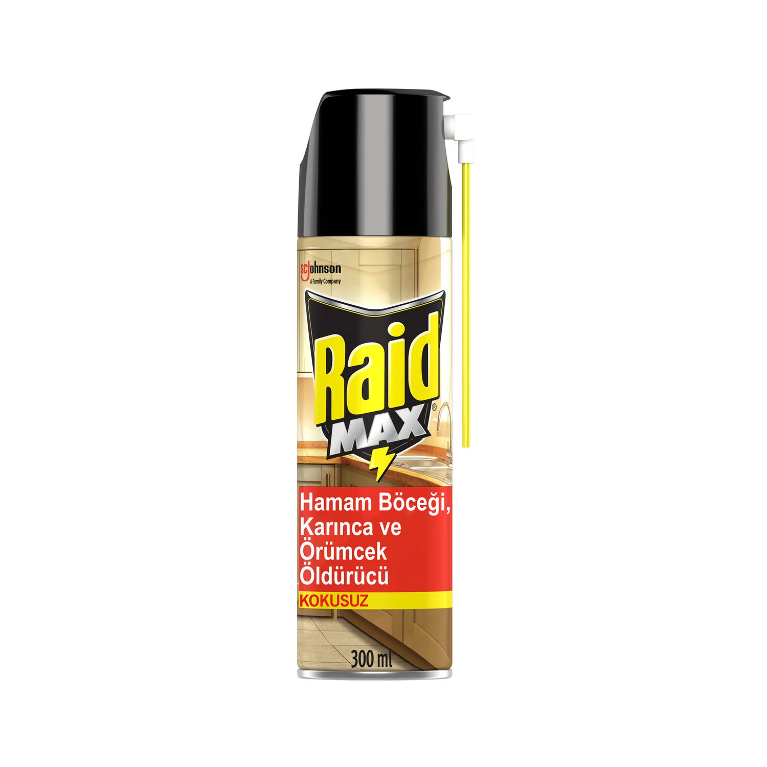 Raid Böceksavar Max Aerosol 300 Ml