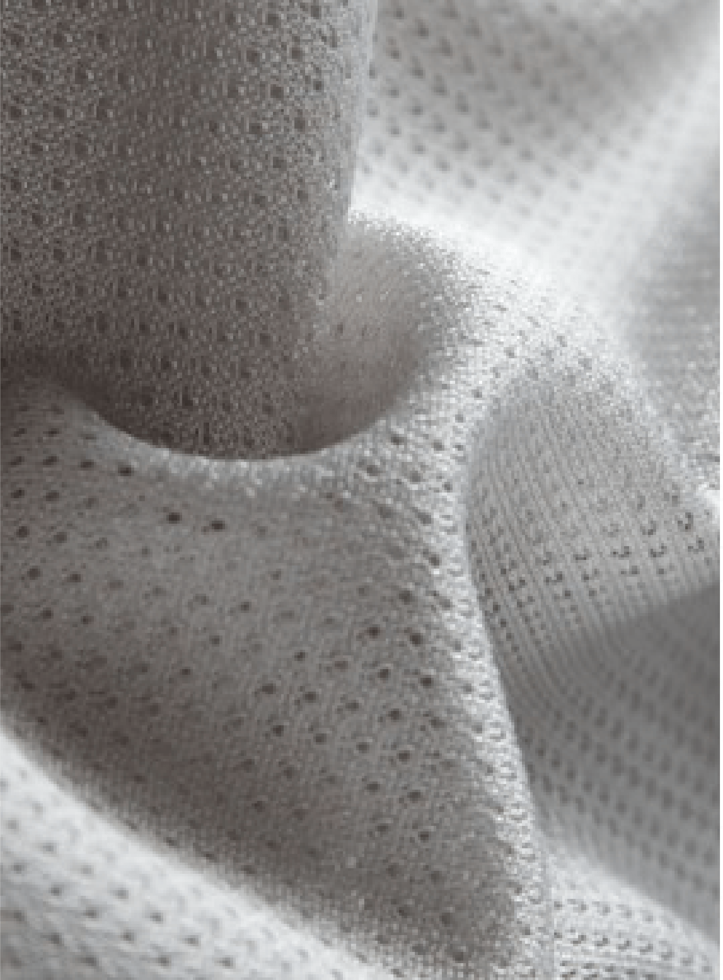 Raschel Knitted Fabric