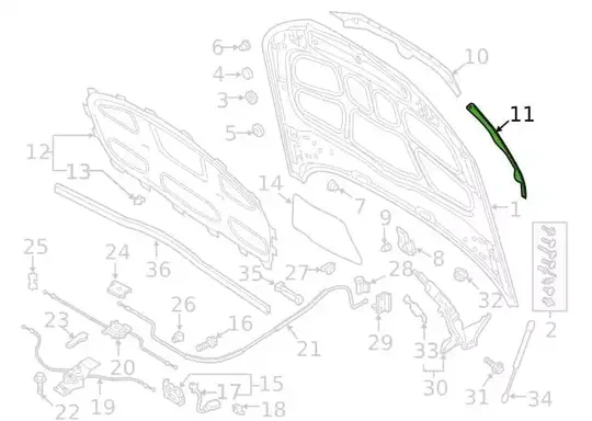 Audi A5 2019- Kaput Fitili 8W6823126