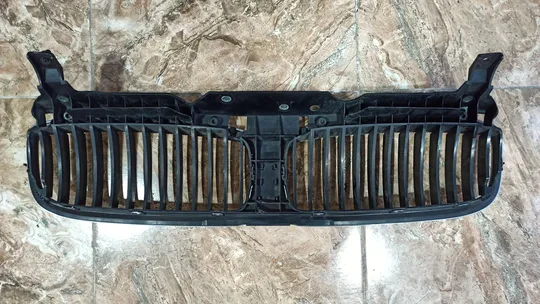 BMW 7 Serisi E65 E66 Ön Panjur 51137037727