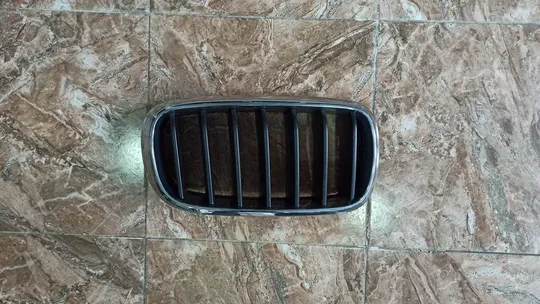 BMW X5 F15 Kasa Ön Sağ Panjur 7316076