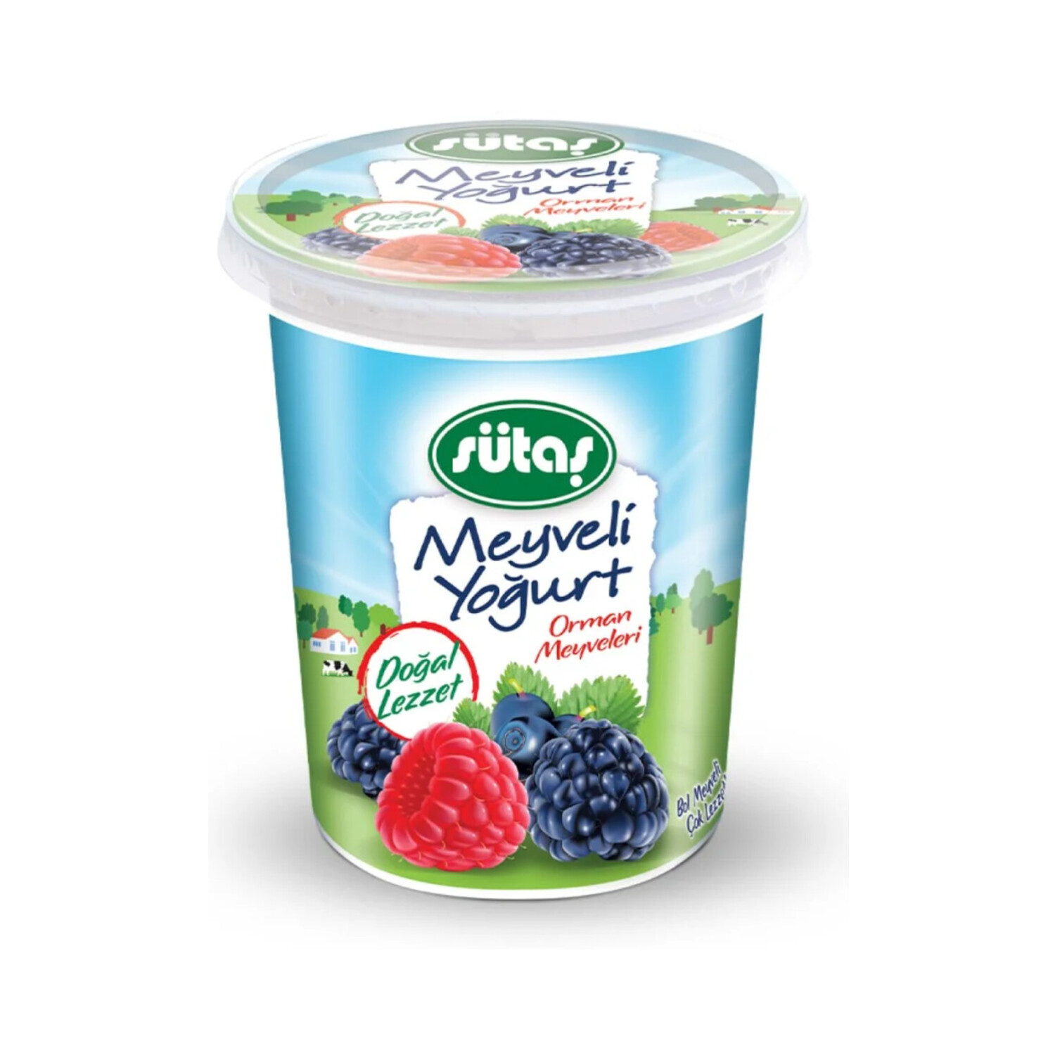 Sütaş Orman Meyveli Yoğurt 475 Gr