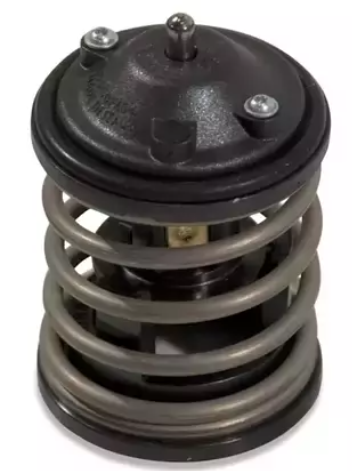 Bmw 1 Serisi E87 LCİ Kasa 116d 120d N47S Termostat