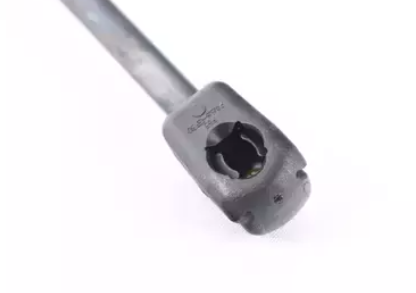 Bmw 1 Serisi F20 Kaput Amortisörü