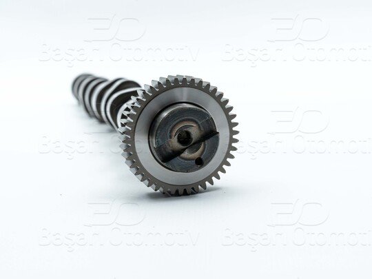 EKSANTRIK MILI EMME DOKUM