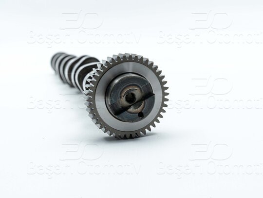 EKSANTRIK MILI EMME DOKUM