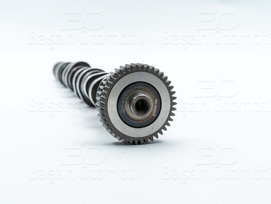 EKSANTRIK MILI EGZOSTDOKUM